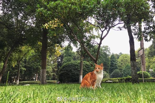 少年宝莲灯h5游戏下载